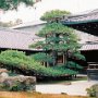 Kyoto, Japan